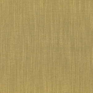 TATAMI 05